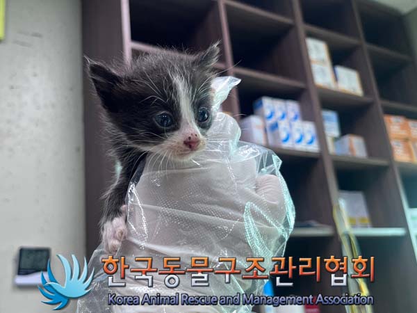 종료(자연사) 한국…